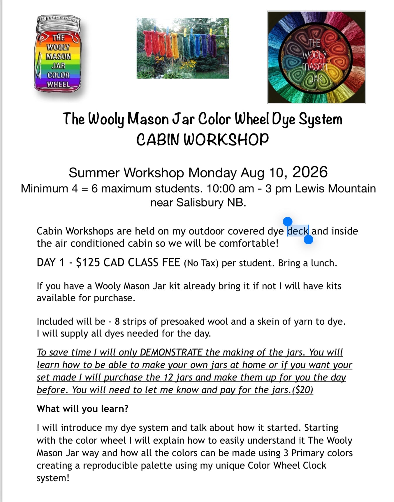 In Person CABIN Workshop “Learn the Wooly Mason Jar Way” Dye Workshop at Lucy’s Cabin